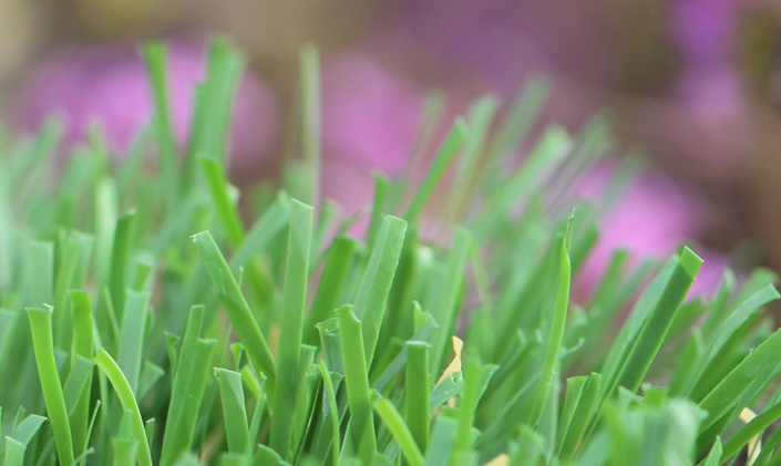 Artificial Grass Emerald-52 Artificial Grass Los Angeles