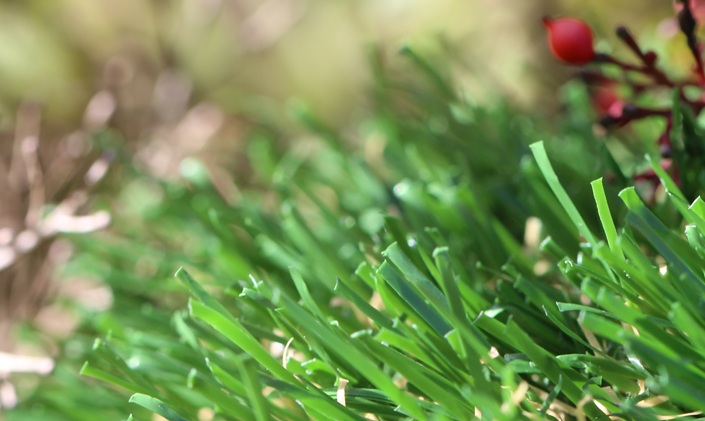 Artificial Grass Emerald-70 Artificial Grass Los Angeles