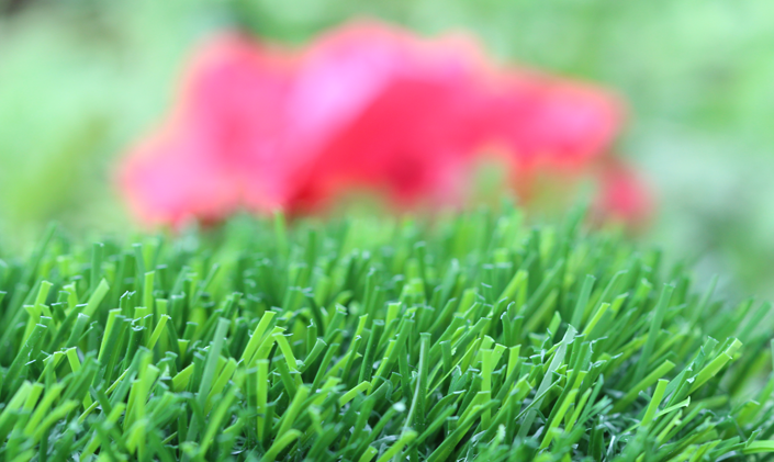 Artificial Grass Evergreen-80 Artificial Grass Los Angeles