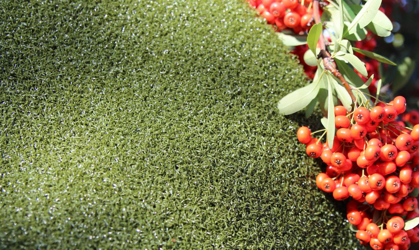 Artificial Grass Putting Green Artificial