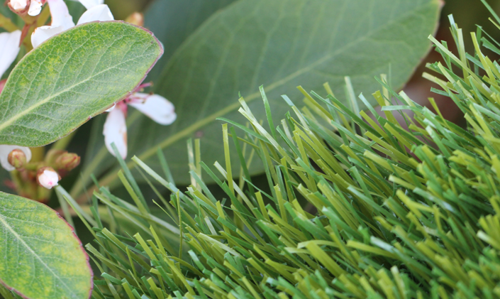 Artificial Grass Olive-60 Artificial Grass Los Angeles