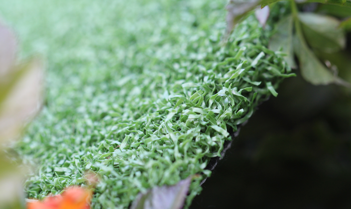 Artificial Grass Putting Greens Indoor