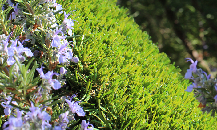 Artificial Grass Synthetic Turf For The Entire Family