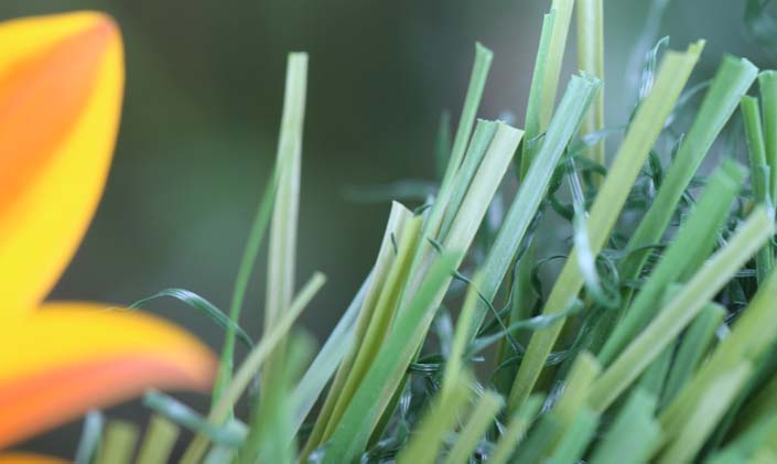 Artificial Grass S Blade-90 Green on Green Artificial Grass Los Angeles