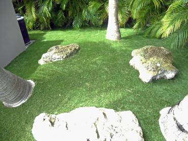 Artificial Grass Photos: Fake Pet Grass South El Monte California Landscape, Lawns