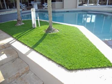 Artificial Grass Photos: Fake Pet Grass Alondra Park California Back and Front Yard