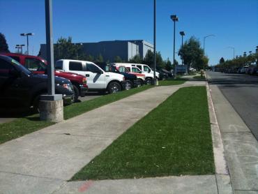 Artificial Grass Photos: Fake Pet Turf Norwalk California Landscape