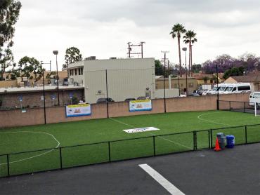 Artificial Grass Photos: Synthetic Pet Grass Santa Monica California Landscape