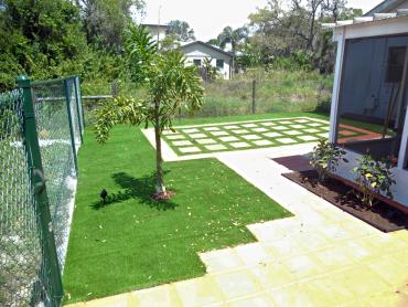 Artificial Grass Photos: Fake Pet Turf Avocado Heights California Lawns