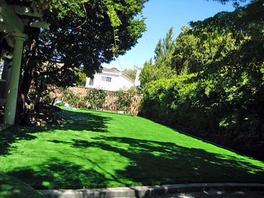 Artificial Grass Photos: Artificial Pet Turf Van Nuys California Landscape