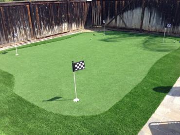 Artificial Grass Photos: Artificial Pet Grass Carson California Landscape, Lawns