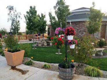 Artificial Grass Photos: Synthetic Pet Turf Torrance California Back and Front Yard