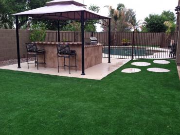 Artificial Grass Photos: Synthetic Pet Turf Redondo Beach California Landscape, Lawns