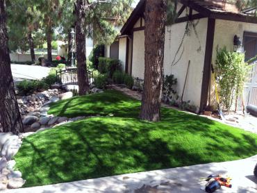 Artificial Grass Photos: Artificial Pet Grass Industry California Back and Front Yard