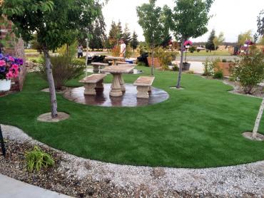 Artificial Grass Photos: Fake Pet Grass Cerritos California Landscape