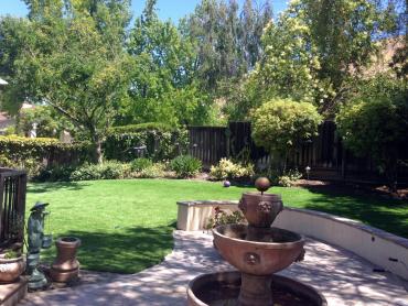 Artificial Grass Photos: Synthetic Pet Turf West Covina California Landscape