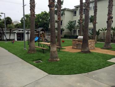 Artificial Grass Photos: Artificial Pet Grass Signal Hill California Landscape, Lawns