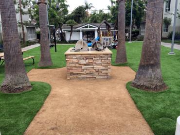 Artificial Grass Photos: Synthetic Pet Grass La Habra Heights California Landscape