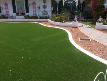 Artificial Grass Photos: Fake Pet Grass Irwindale California Back and Front Yard