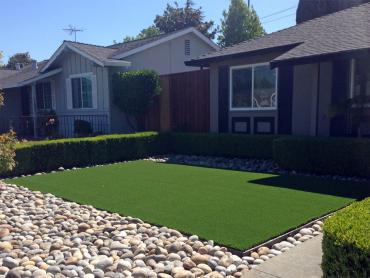 Artificial Grass Photos: Fake Pet Turf La Habra California Back and Front Yard