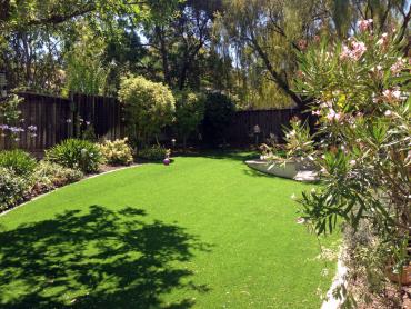 Artificial Grass Photos: Artificial Pet Turf South San Jose Hills California Back and Front Yard