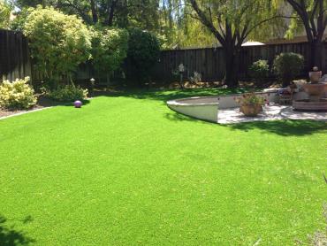 Synthetic Pet Grass Azusa California Landscape artificial grass