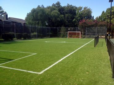 Artificial Grass Photos: Fake Pet Turf Cypress California Landscape