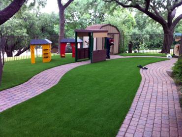 Artificial Grass Photos: Synthetic Pet Grass Rossmoor California Back and Front Yard