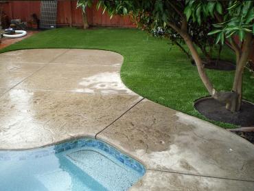 Artificial Grass Photos: Synthetic Pet Turf Walnut California Landscape