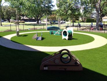 Artificial Grass Photos: Fake Pet Turf San Pedro California Landscape