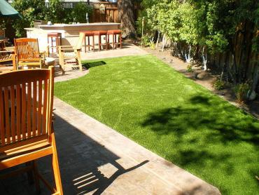 Artificial Grass Photos: Synthetic Pet Grass Woodland Hills California Back and Front Yard
