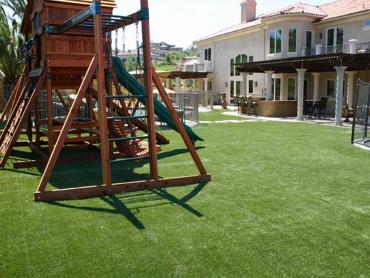 Artificial Grass Photos: Synthetic Pet Grass Las Flores California Landscape