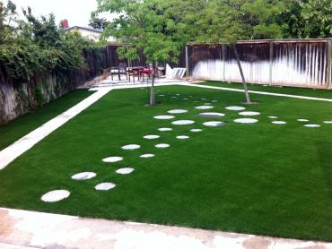 Artificial Grass Photos: Fake Pet Grass Calabasas California Lawns