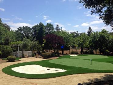 Artificial Grass Photos: Fake Pet Grass Westminster California Back and Front Yard