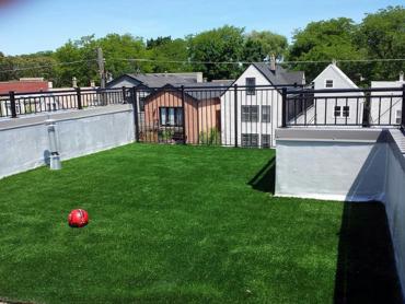 Artificial Grass Photos: Artificial Pet Grass Diamond Bar California Lawns