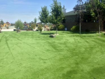 Artificial Grass Photos: Fake Pet Turf San Dimas California Landscape, Lawns