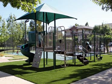 Artificial Grass Photos: Synthetic Pet Grass Fountain Valley California Landscape