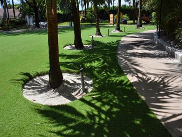 Artificial Grass Photos: Artificial Pet Turf Claremont California Lawns