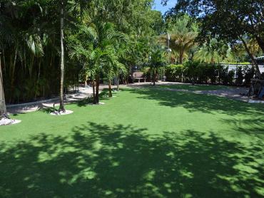 Artificial Grass Photos: Artificial Pet Turf Oak Park California Back and Front Yard