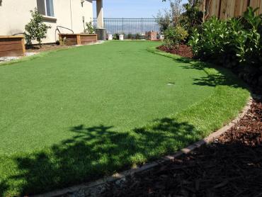 Artificial Grass Photos: Artificial Pet Turf Agua Dulce California Landscape