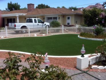 Artificial Grass Photos: Artificial Pet Turf Huntington Beach California Back and Front Yard