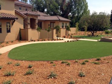 Artificial Grass Photos: Synthetic Pet Grass Santa Susana California Landscape