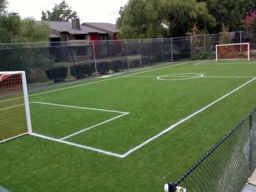 Artificial Grass Photos: Fake Pet Turf Vincent California Landscape