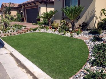 Artificial Grass Photos: Synthetic Pet Grass Malibu California Landscape, Lawns