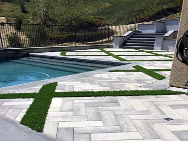 Artificial Grass Photos: Synthetic Pet Turf Westlake Village California Landscape