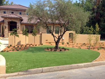 Artificial Pet Grass Valencia California Landscape, Lawns artificial grass