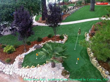 Artificial Grass Photos: Synthetic Pet Turf Vernon California Landscape