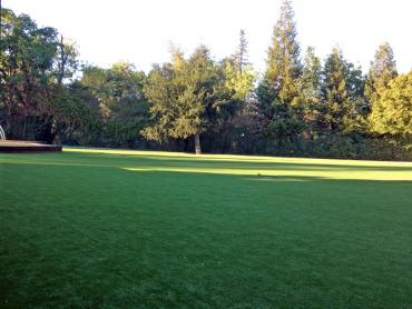 Artificial Grass Photos: Synthetic Pet Grass Ontario California Landscape