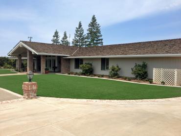 Artificial Grass Photos: Synthetic Pet Grass Littlerock California Lawns