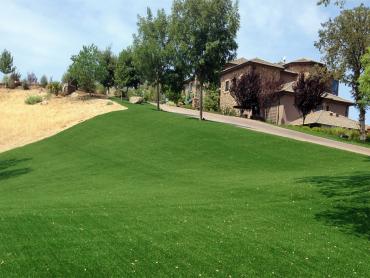 Artificial Grass Photos: Fake Pet Turf Palmdale California Landscape